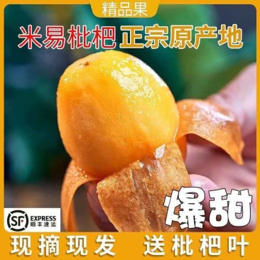米易枇杷