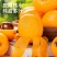 枇杷