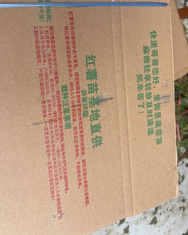 电商苗专业代发多品种红薯苗产地一件代发