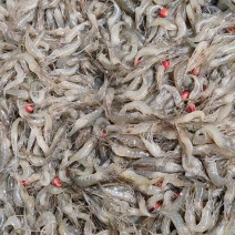 正宗小河虾