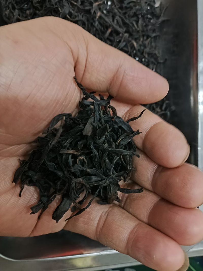 凤凰单枞蜜兰香