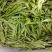 高山绿茶干茶