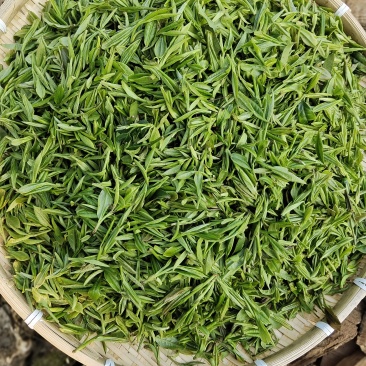 高山绿茶干茶