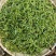 高山绿茶干茶