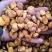 迁西特产风干板栗仁普通货风干板栗仁