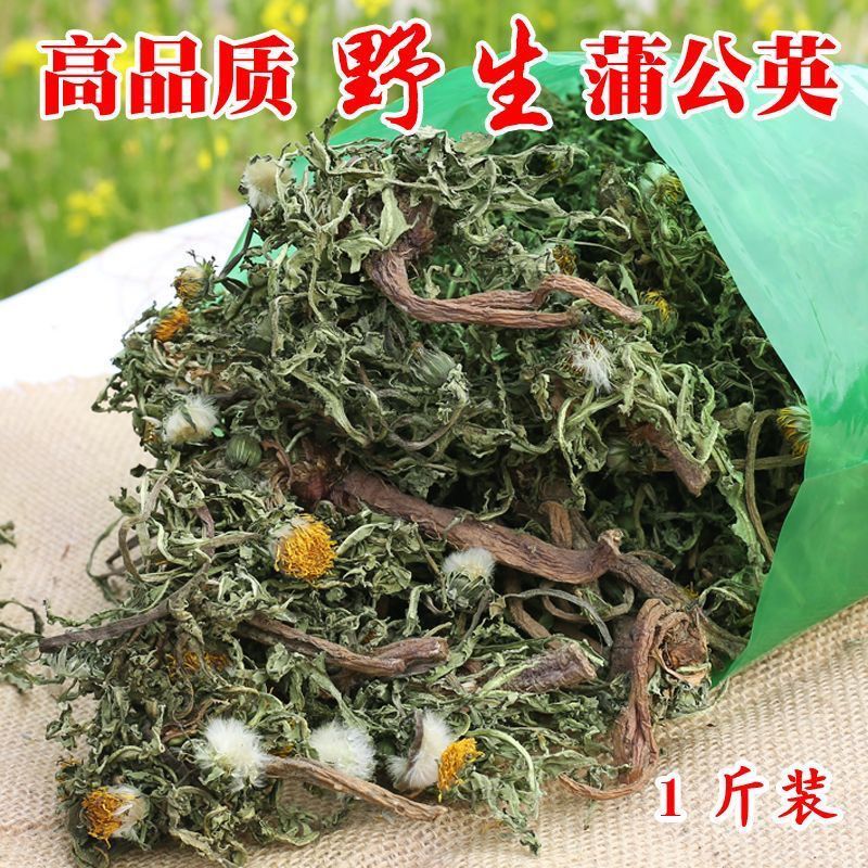 野生蒲公英带根整颗今年新货