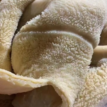熟牛肚