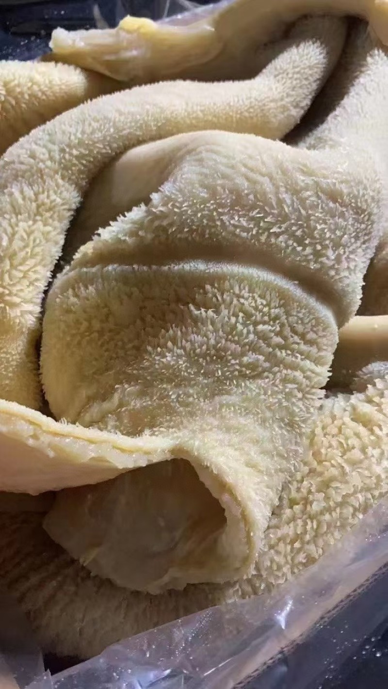 熟牛肚