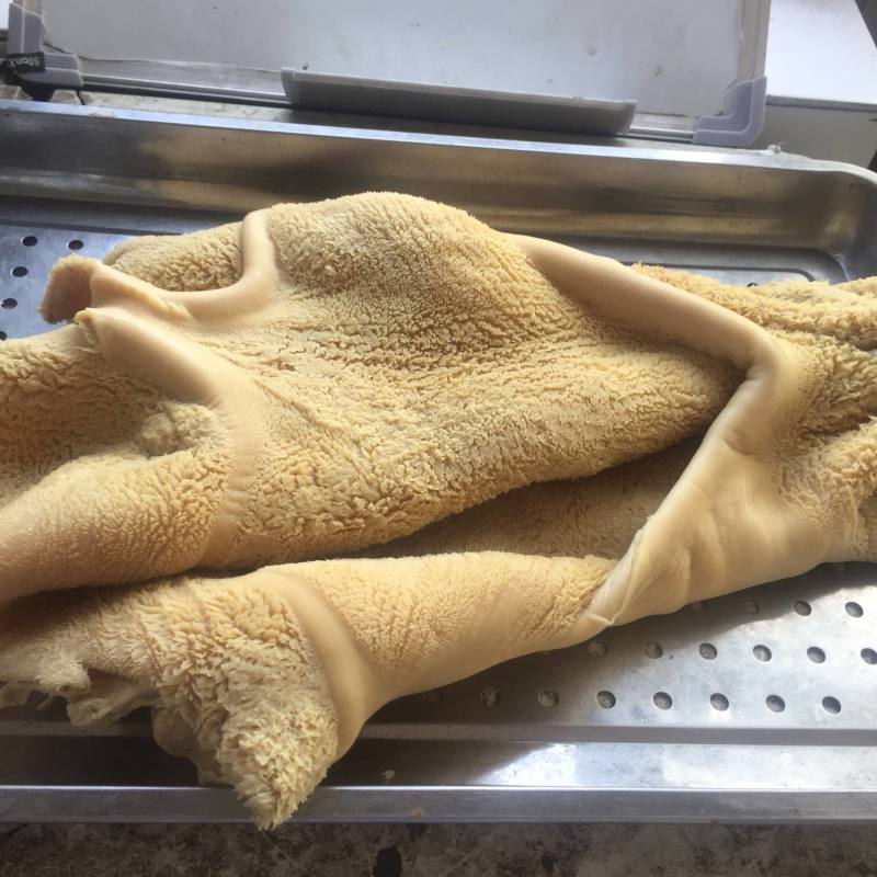 熟牛肚