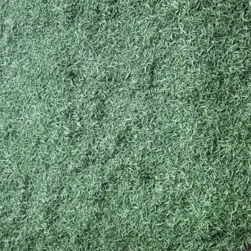 十堰市竹山县富硒绿茶2026年新季春茶