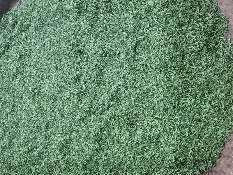十堰市竹山县富硒绿茶2026年新季春茶