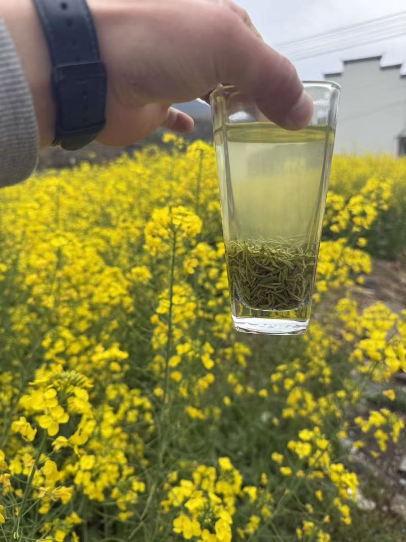 十堰市竹山县富硒绿茶2026年新季春茶