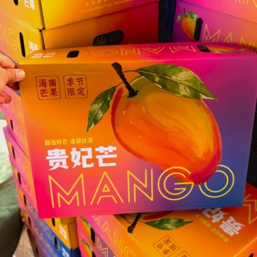 海南贵妃芒，稳定供应市场，电商，社区团购