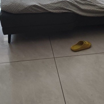 灰鸭毛