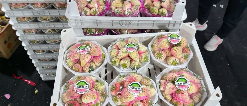 白色草莓