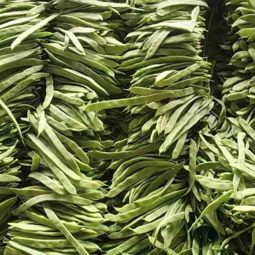 商河白桥芸豆通货精品货