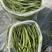 商河白桥芸豆通货精品货