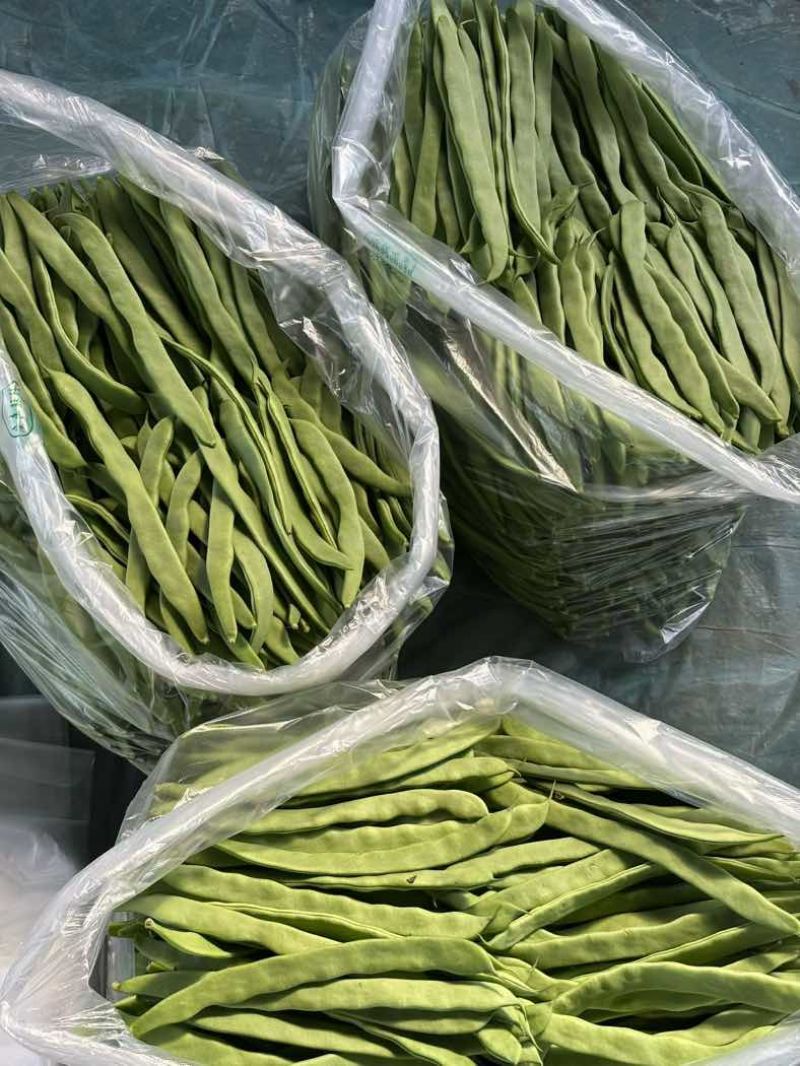 商河白桥芸豆通货精品货