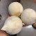 一件代泰国椰皇进口商超品，对接各大电商平台包售后便宜