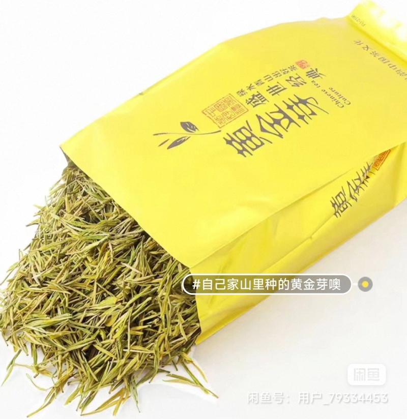 2026年自产黄金芽，施菜籽饼肥。