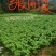 水白菜，菠菜。
