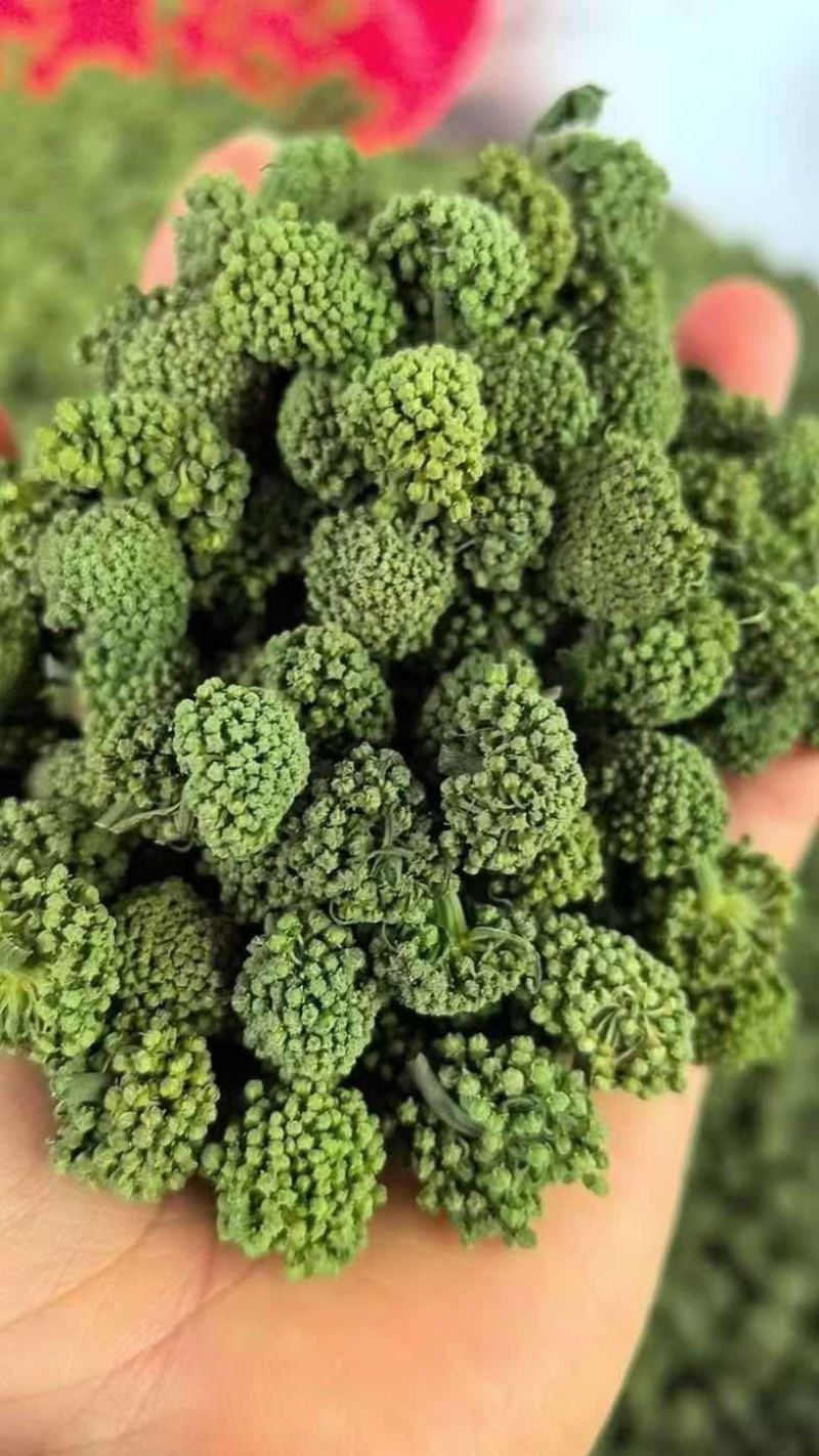 纯正三七产地货源免费打粉保质保量价格优惠