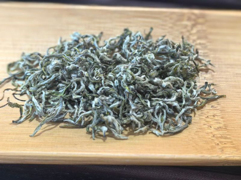 正宗都匀毛尖，独芽