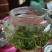 小茶绿茶只做一点点，需要的赶紧过来180，批发可议价