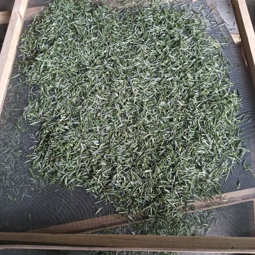 黄山毛峰祁门红茶