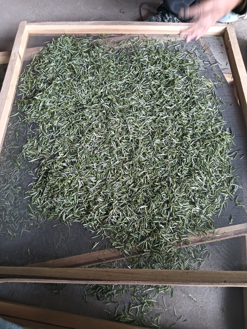 黄山毛峰祁门红茶