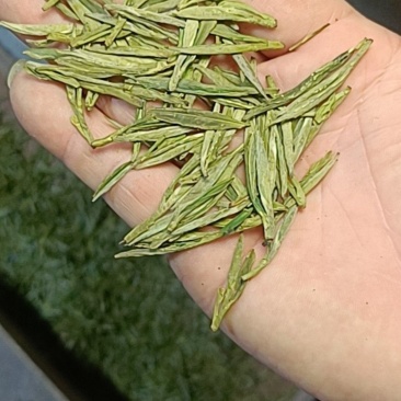 高山野生兰香茶