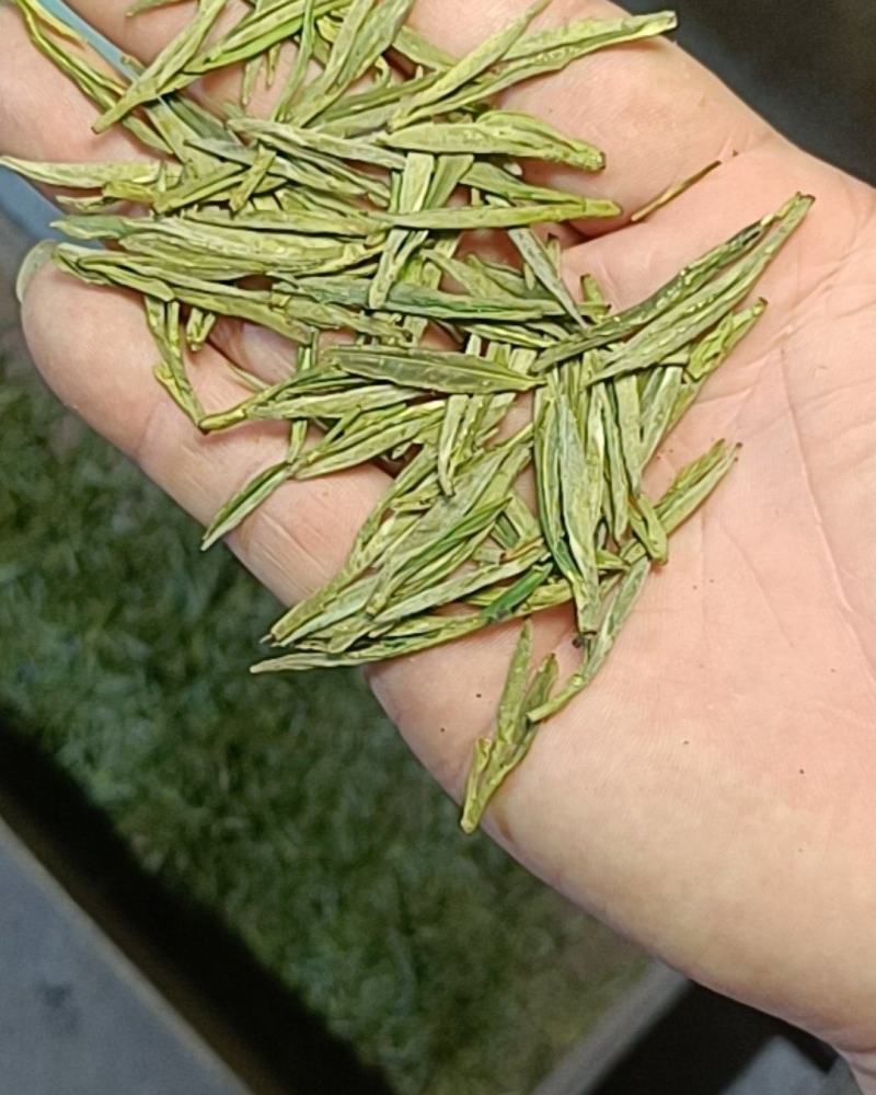 高山野生兰香茶