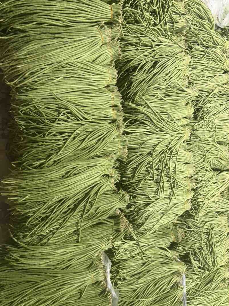 云南红河缸豆4月4号缸豆