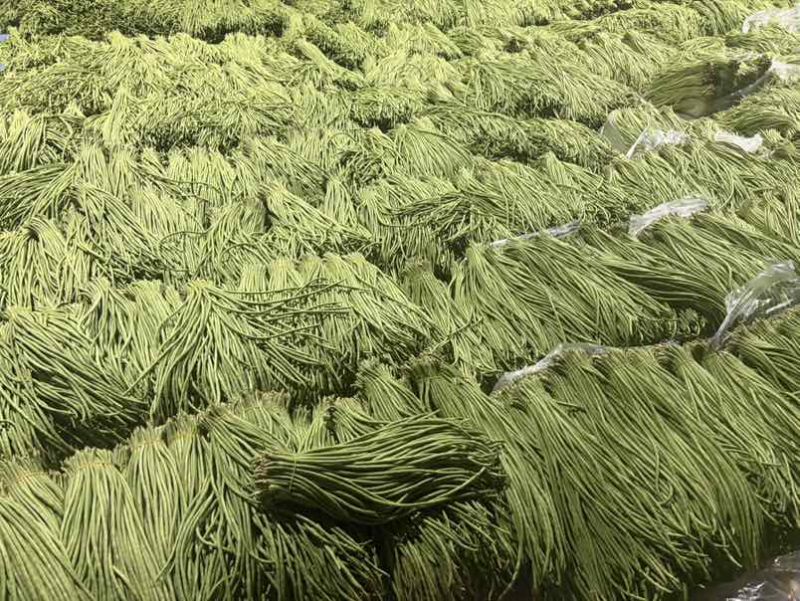 云南红河缸豆4月4号缸豆