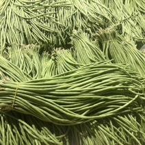 云南红河缸豆4月4号缸豆