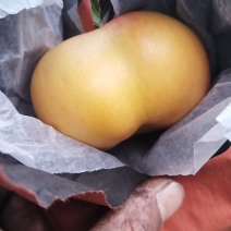 潘桃
