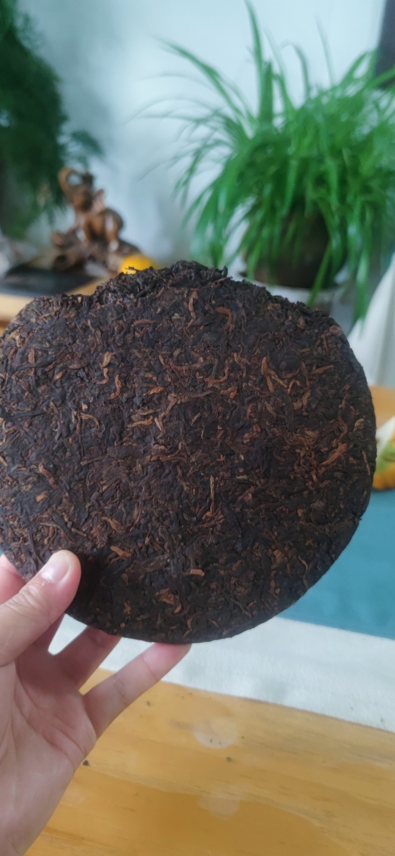 云南普洱茶