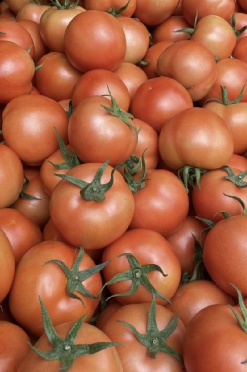 西红柿🍅