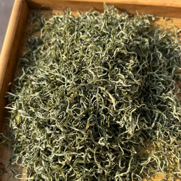 普洱茶🍵