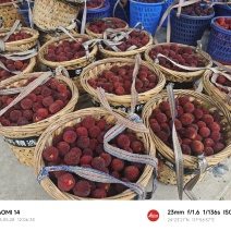 四月中旬杨梅季正式开始(代收，代发，代办)需要的联系我。