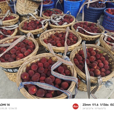 四月中旬杨梅季正式开始(代收，代发，代办)需要的联系我。