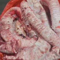 牛肺管原料清真国产