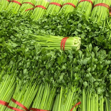 芹菜蔬菜代办/金乡大棚蔬菜产地直供