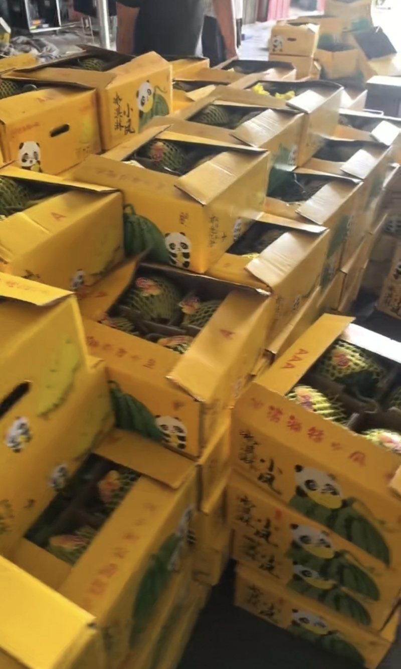 江苏沭阳特小凤西瓜，万亩产地货源，脆甜无渣