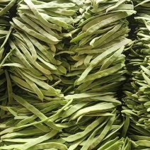 扁青芸豆
