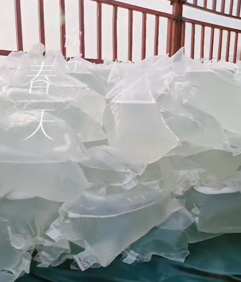 桦树汁原液
