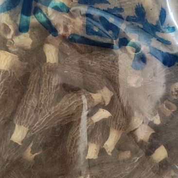 羊肚菌