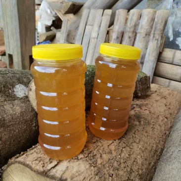 土蜂蜜，中蜂百花蜜