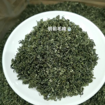 明前毛峰
