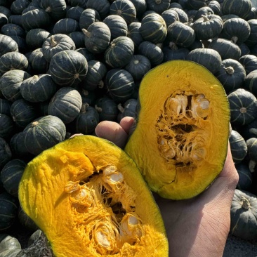 贝贝南瓜